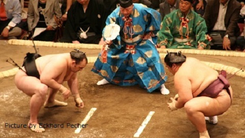 Sumo Tour - Tokyo Tournament & Chanko Dinner