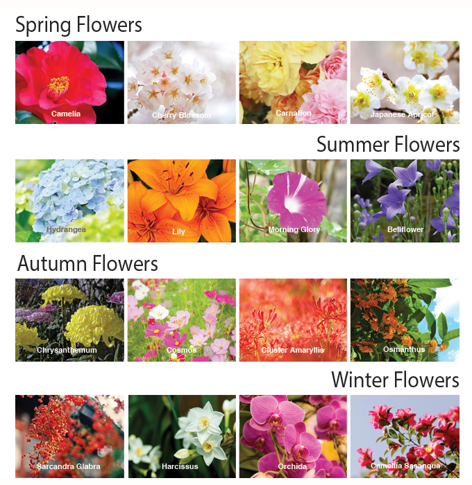 About Japanese Seasonal Flowers