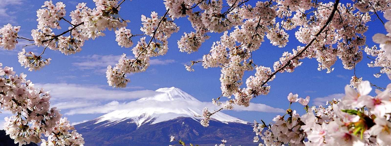 Japanese National Parks