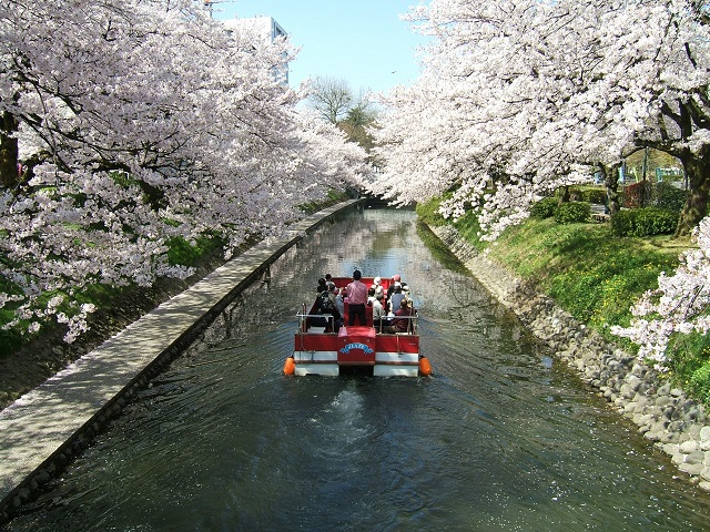 Find the Best Japan Tours at Japan Deluxe Tour