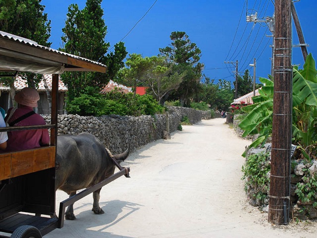 Okinawa Islands