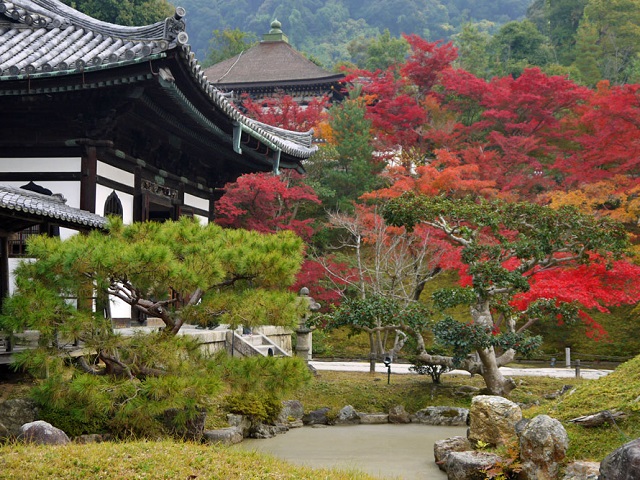 Kyoto Quick Bus Tour