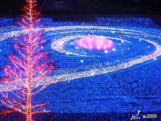 Go and See Xmas Illumination in Tokyo