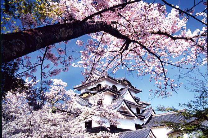 Hanami