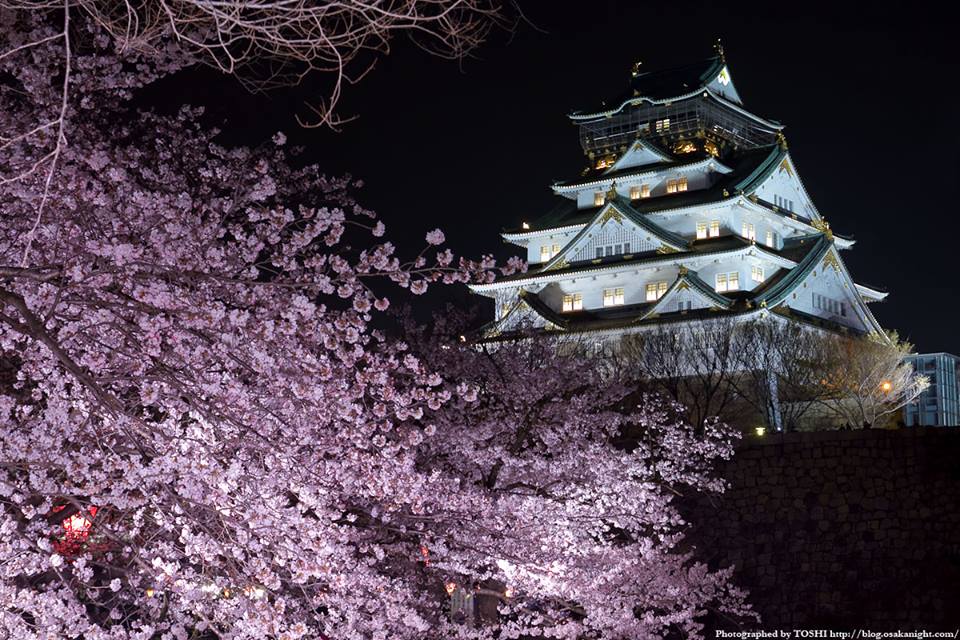 Osaka Castle