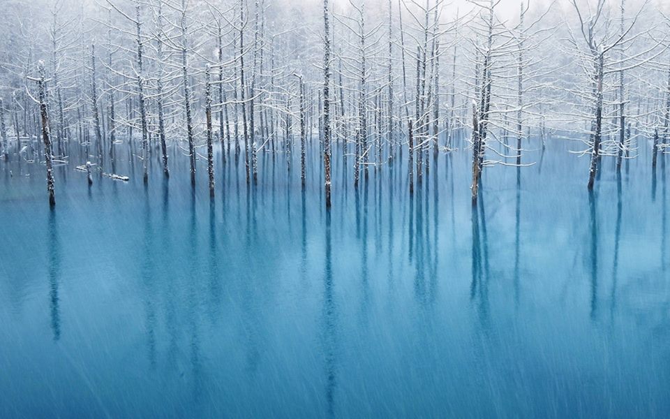 Blue Pond