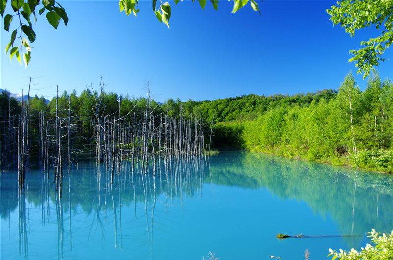 Beautiful Blue Pond