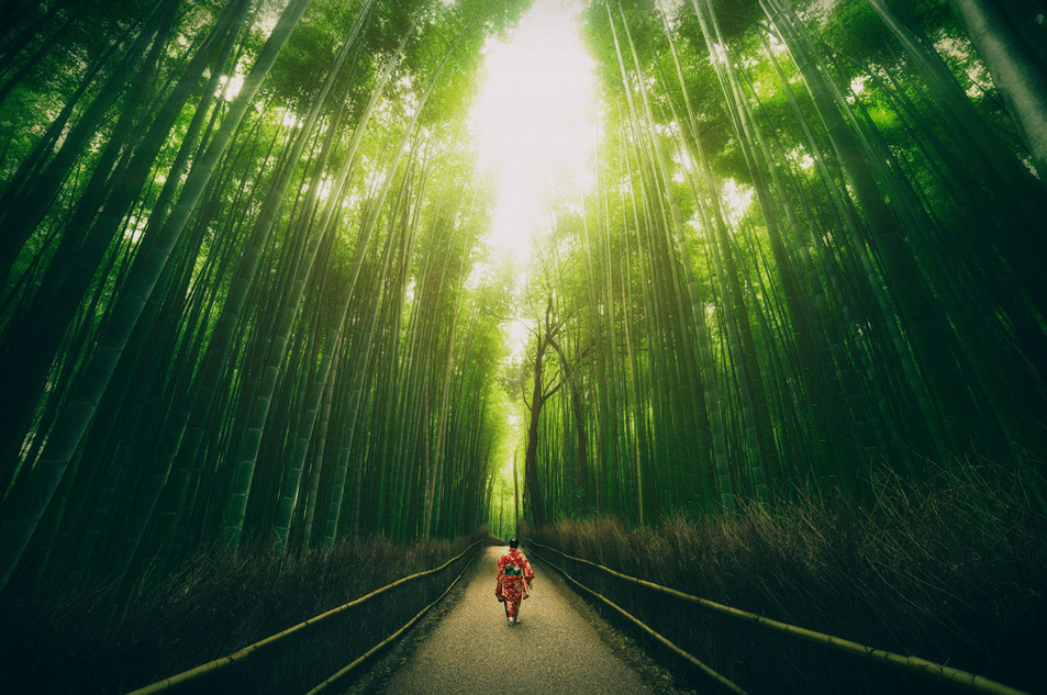 Sagano Bamboo Forest