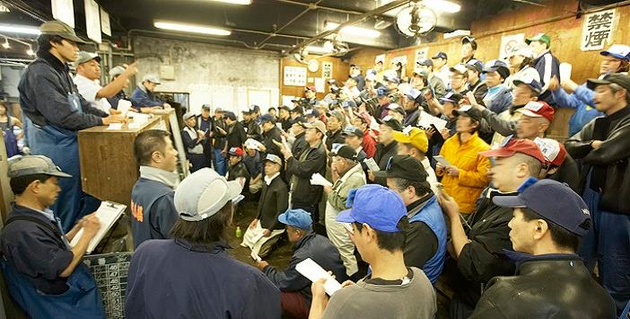 Tuna Auction Tour is Open for Business 
