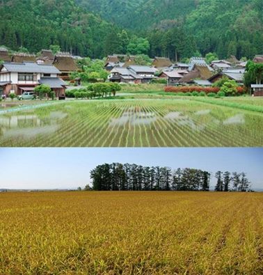 Rural or Urban Japan?