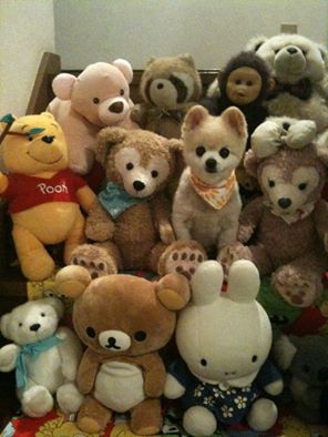 Stuffed Animal Looking Animal