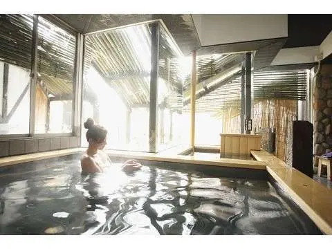 Kura Hotel — Ichinoseki,, 岩手県