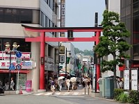 Komachi-dori