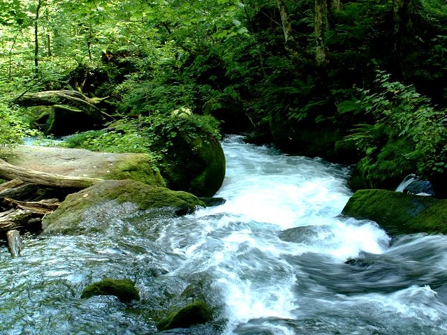 Aomori Oirase | Breathtaking Mountain Stream