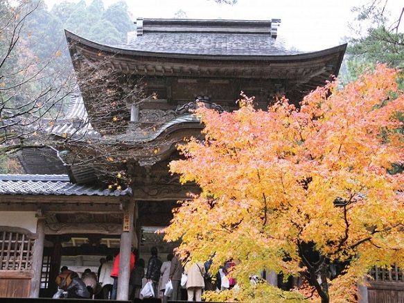 Fukui | Temple of Eternal Peace