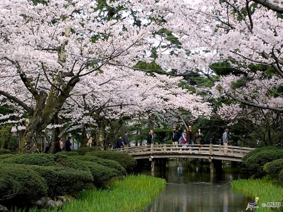 Stroll Through the Beautiful Private Garden | Ishikawa