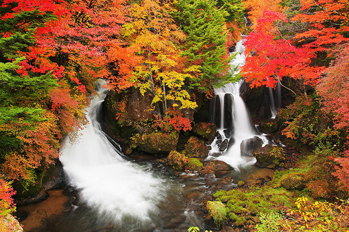 Tochigi has a lot of beautiful autumn foliage.