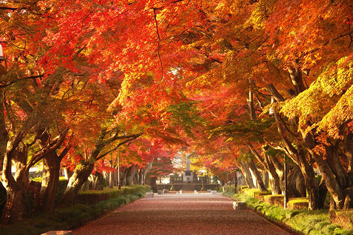 Unique and characteristic autumn festivals in Tochigi