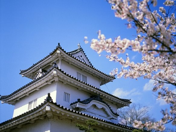 Marugame Castle | Original Castle Torn Down by Shogun Policy