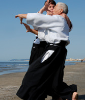 Aikido | The way of the harmonious spirit