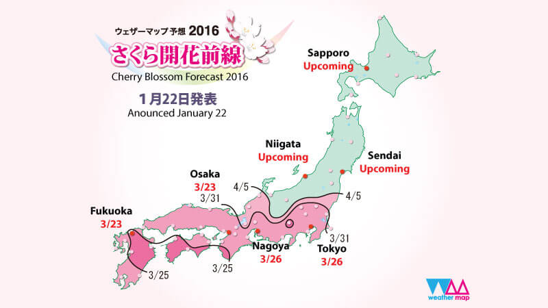  Cherry Blossom Forecast 2016 Japan Deluxe Tours