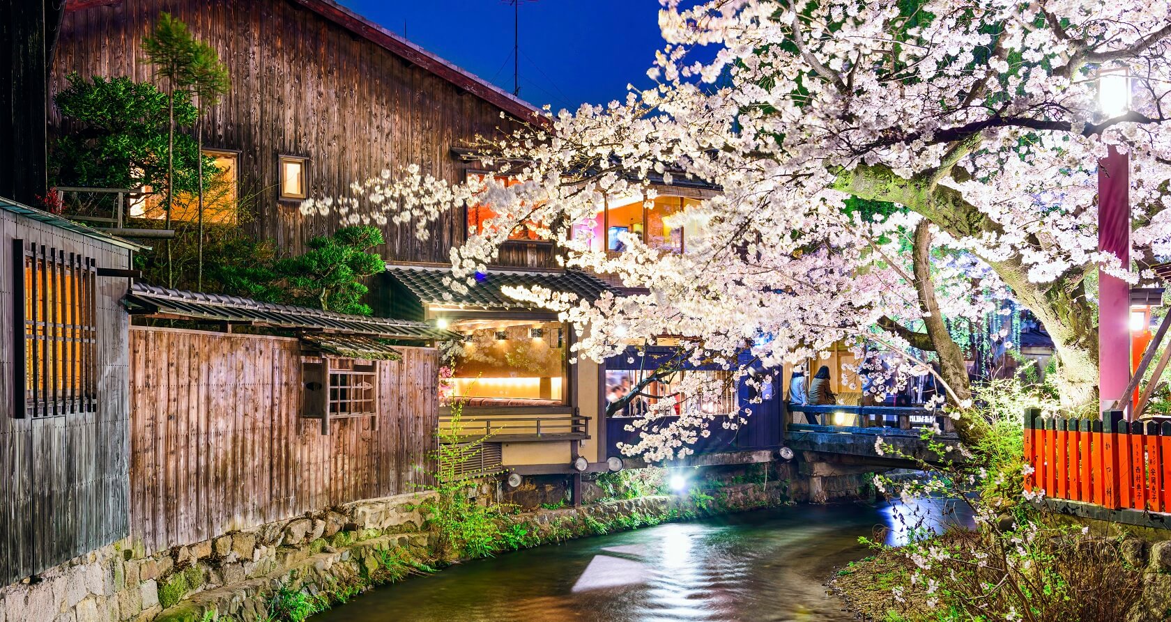 Japan Cherry Blossom Tours 2018 | Essence of Spring