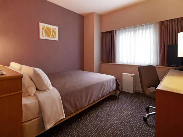 Osaka New Hankyu Hotel — Osaka, 大阪府