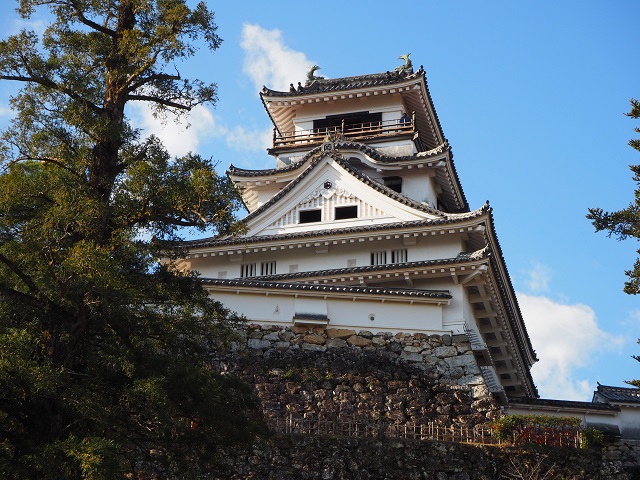Travel Japan: Kochi Castle!