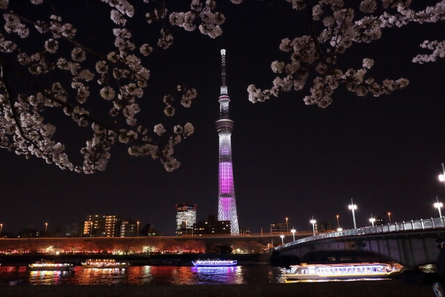 Travel Japan: Visiting Tokyo Sky Tree!