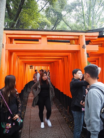 Fushimi Inari Taisha/ Gion District