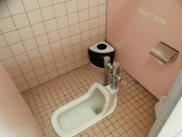 Japanese public deals toilets