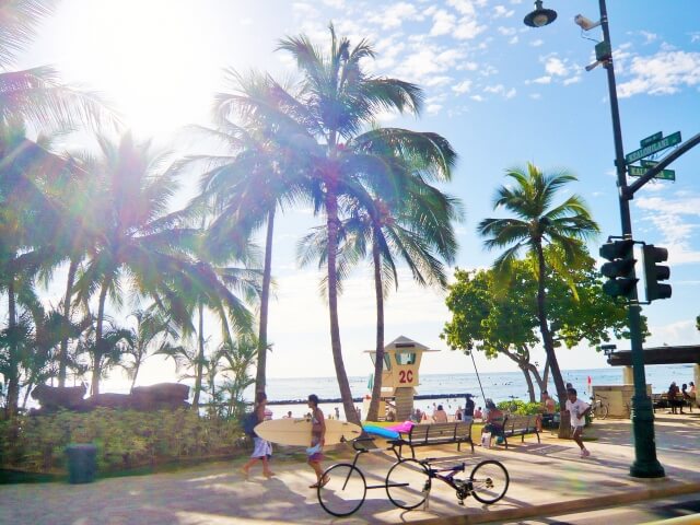 Hit the Beach