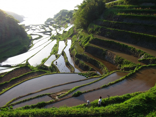 Farmland with a View