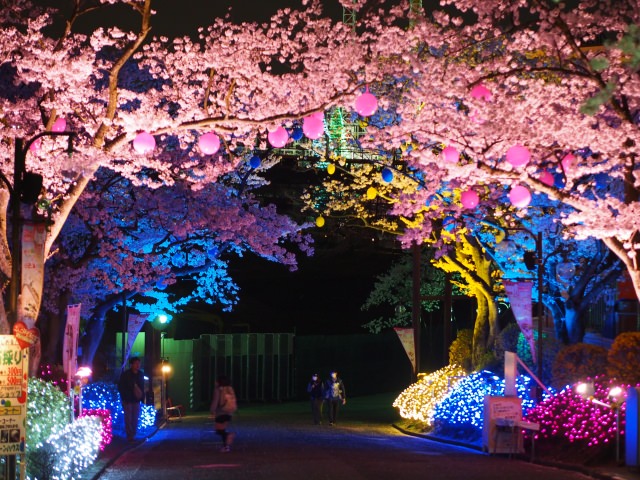 Have a Romantic Time in Yomiuri Land