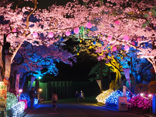 Have a Romantic Time in Yomiuri Land 