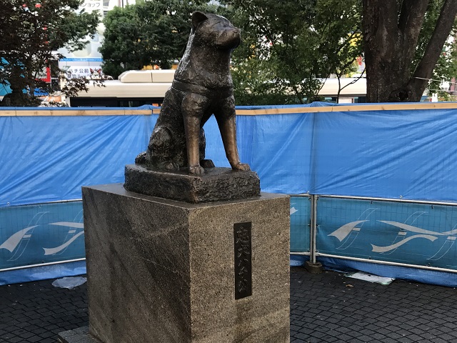 Shibuya Hachiko, Tokyo | Japan Deluxe Tours