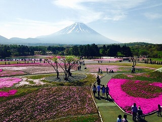 Japan Festival Tours | Matsuri Vacations | Japan Deluxe Tours