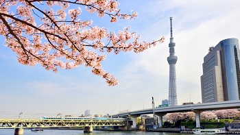 Essence of Spring | Hiroshima