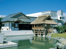 World Tea Museum (Ochanosato)