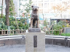 Shibuya Hachiko