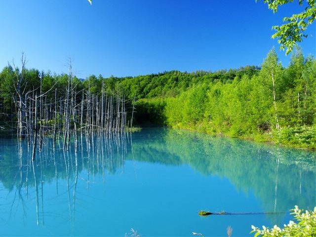 Biei's Magical Looking Blue Pond