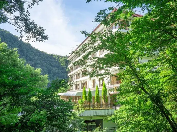 Hakone Yumoto Hotel — Hakonecho, Ashigarashimogun, 神奈川県