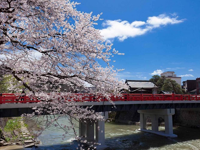 New Luxury Takayama Tour Packages!