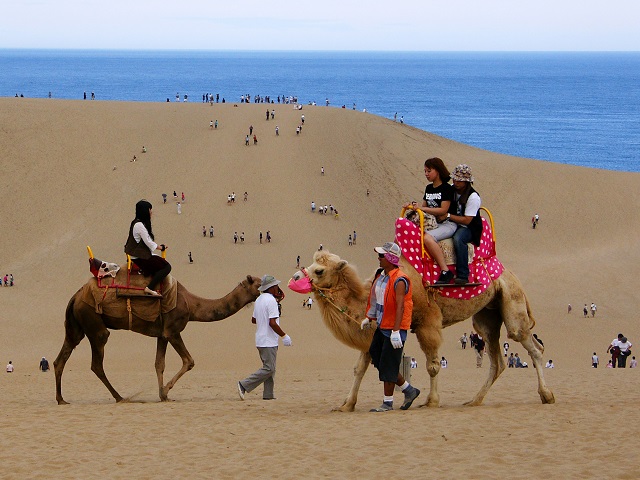 World Famous Sand Dunes