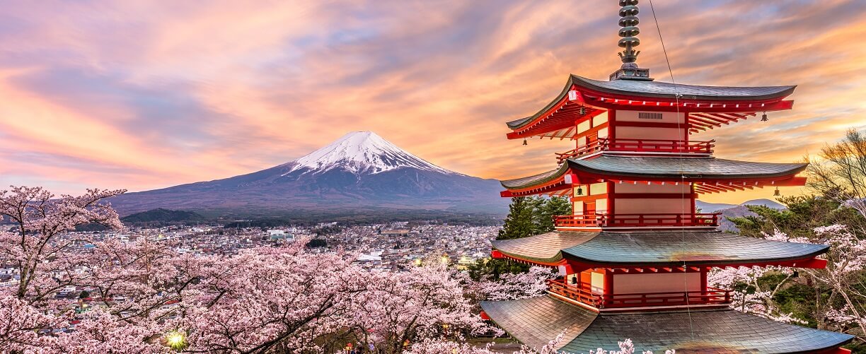 Japanese Cherry Blossom Tours 2024 2025