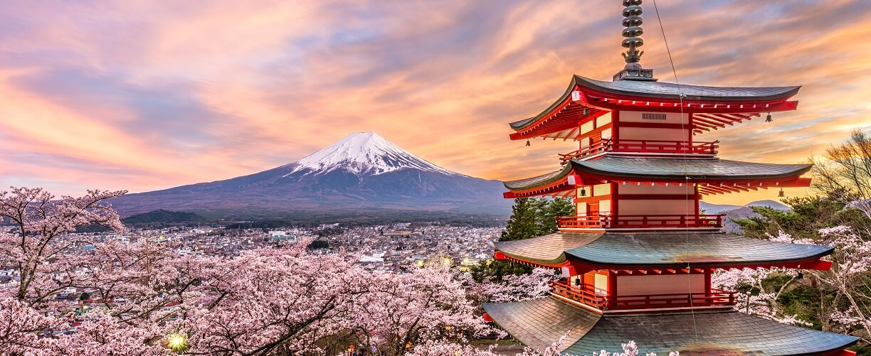 japan tours january 2024