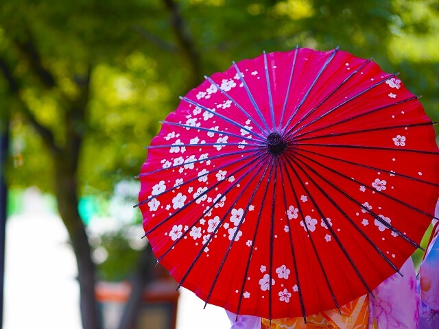 Traditional Japanese Umbrellas