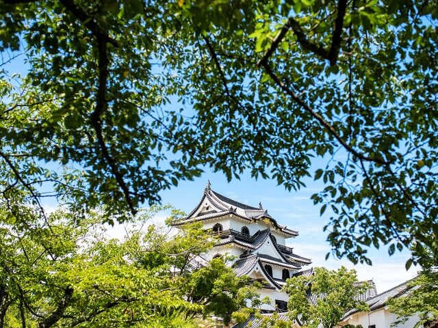 Japanese Castles