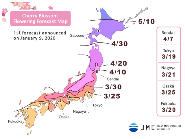 2020 Japan Cherry Blossom Forecast<br>1st Announcement