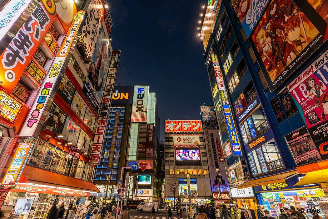 Mecca of Electronics and Otaku | Tokyo 